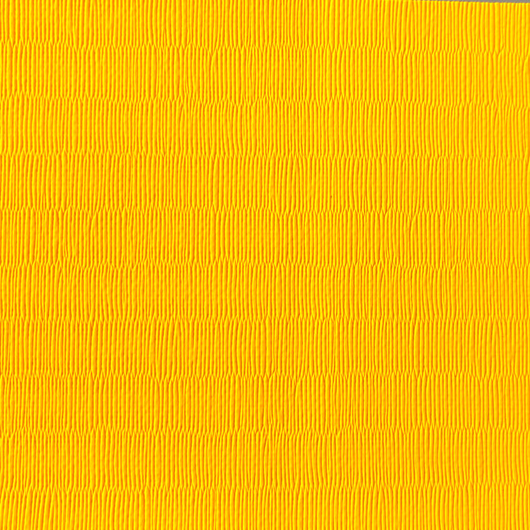 TATAMIS DE VINILO - 200 x 100cm