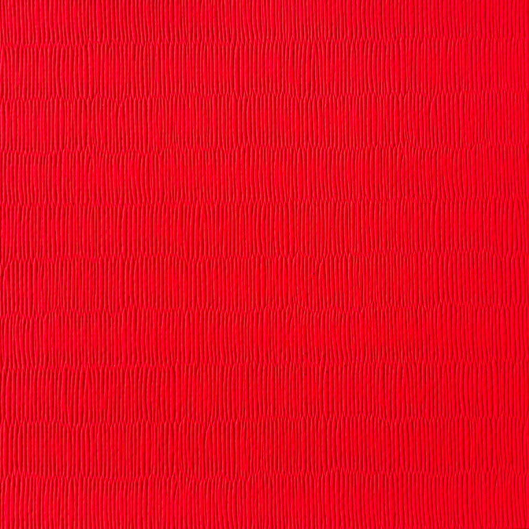 TATAMIS DE VINILO ANTIDESLIZANTE - 200 x 100cm
